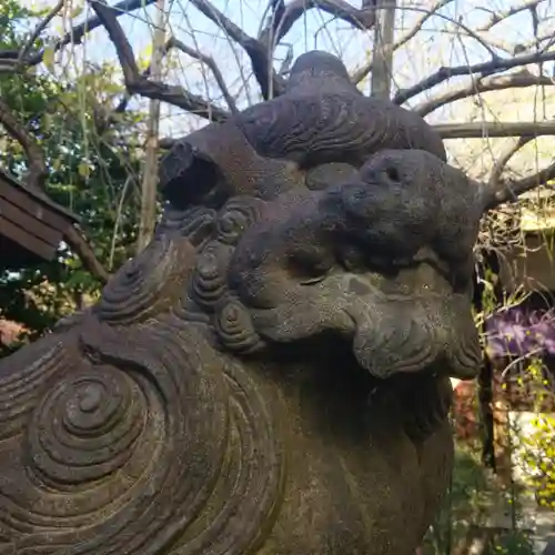 牛天神北野神社の狛犬