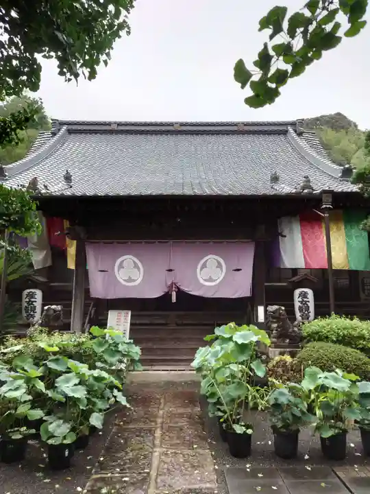 正信院の本殿・本堂