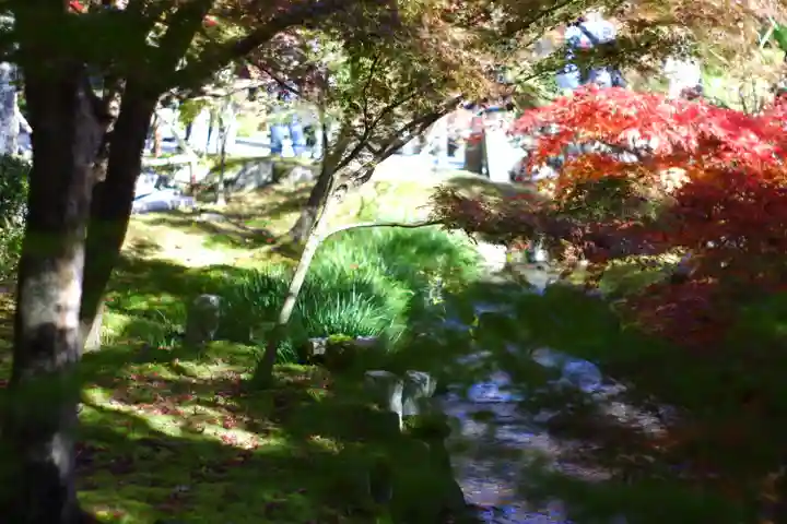 禅林寺(永観堂)(京都府)