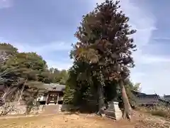 天満神社(岡山県)