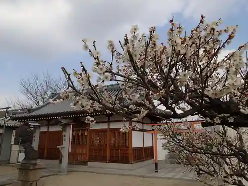 志貴縣主神社の本殿