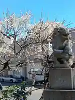 高円寺氷川神社(東京都)