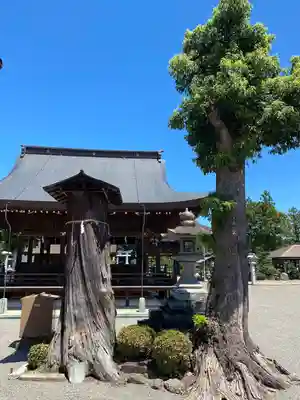 苗村神社(滋賀県)