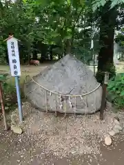 結城諏訪神社の建物その他