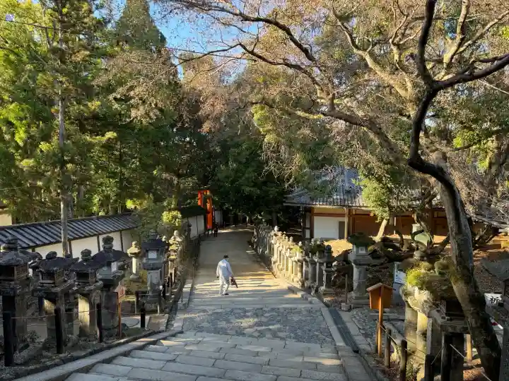 春日大社(奈良県)