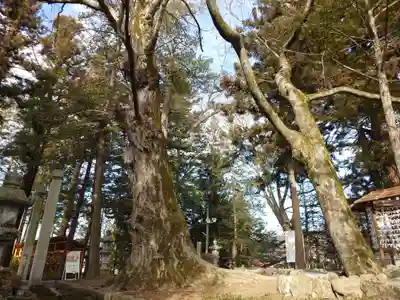 諏訪大社下社秋宮(長野県)