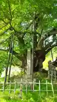 素桜神社のその他建物