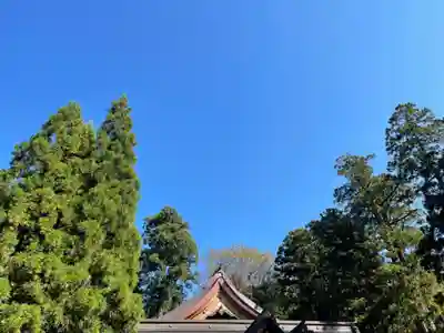 白山比咩神社のその他建物