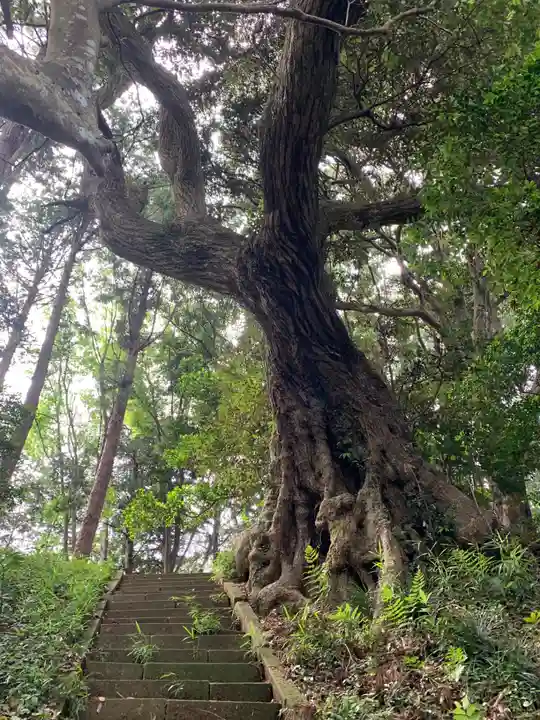 片子神社(千葉県)