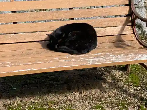 千光寺の{uncategorized: "未分類", other: "その他", undefined: "問題あり", building: "その他建物", grave: "お墓", sacred_gate: "鳥居", guardian: "狛犬", statue: "像", buddha: "仏像", history: "歴史", nature: "自然", garden: "庭園", animal: "動物", pagoda: "塔", temizu: "手水舎", mountain_gate: "山門・神門", sanctuary: "本殿・本堂", subordinate: "末社・摂社", art: "芸術", scenery: "景色", jizo: "地蔵", ema: "絵馬", goshuin: "御朱印", omikuji: "おみくじ", items: "授与品その他", amulet: "お守り", goshuincho: "御朱印帳", eats: "食事", festival: "お祭り", votive_dance: "神楽", shichigosan: "七五三参", wedding: "結婚式", experience: "体験その他", initially: "初詣", around: "周辺", anti_infection: "感染症対策"}