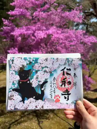 仁和寺の{uncategorized: "未分類", other: "その他", undefined: "問題あり", building: "その他建物", grave: "お墓", sacred_gate: "鳥居", guardian: "狛犬", statue: "像", buddha: "仏像", history: "歴史", nature: "自然", garden: "庭園", animal: "動物", pagoda: "塔", temizu: "手水舎", mountain_gate: "山門・神門", sanctuary: "本殿・本堂", subordinate: "末社・摂社", art: "芸術", scenery: "景色", jizo: "地蔵", ema: "絵馬", goshuin: "御朱印", omikuji: "おみくじ", items: "授与品その他", amulet: "お守り", goshuincho: "御朱印帳", eats: "食事", festival: "お祭り", votive_dance: "神楽", shichigosan: "七五三参", wedding: "結婚式", experience: "体験その他", initially: "初詣", around: "周辺", anti_infection: "感染症対策"}