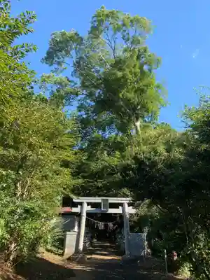 八幡神社(千葉県)