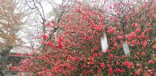 冠稲荷神社の自然