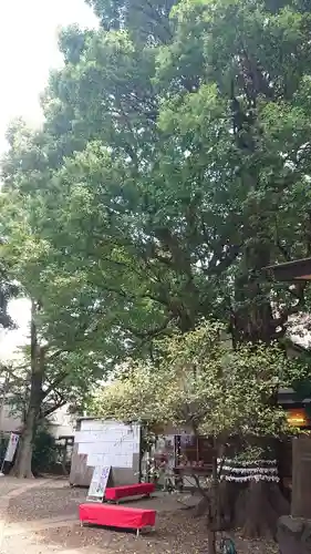 上目黒氷川神社(東京都)