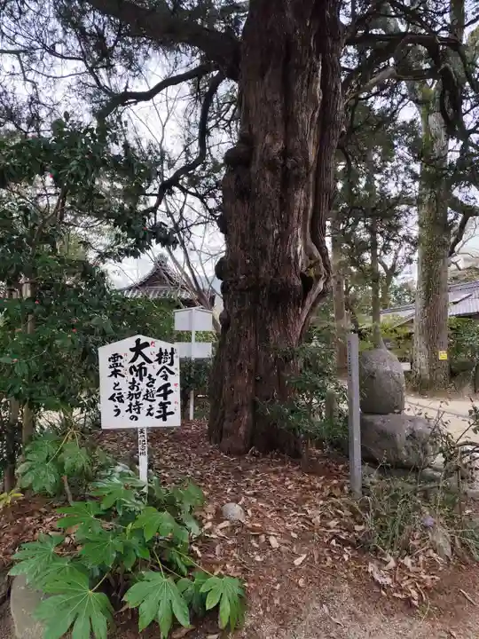 浄瑠璃寺(愛媛県)
