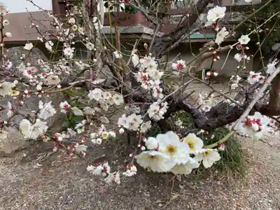 長松院(愛知県)