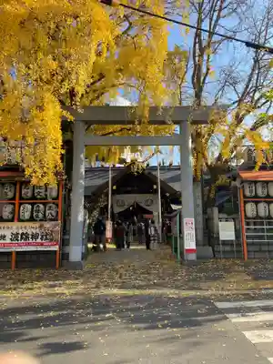 波除神社（波除稲荷神社）の鳥居