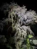 福聚寺(福島県)