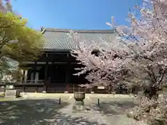 立本寺(京都府)