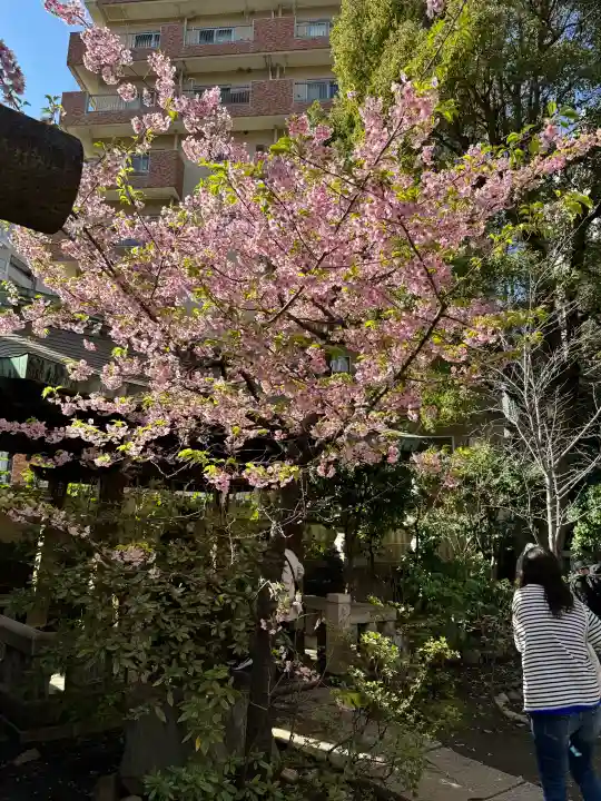 小野照崎神社の{uncategorized: "未分類", other: "その他", undefined: "問題あり", building: "その他建物", grave: "お墓", sacred_gate: "鳥居", guardian: "狛犬", statue: "像", buddha: "仏像", history: "歴史", nature: "自然", garden: "庭園", animal: "動物", pagoda: "塔", temizu: "手水舎", mountain_gate: "山門・神門", sanctuary: "本殿・本堂", subordinate: "末社・摂社", art: "芸術", scenery: "景色", jizo: "地蔵", ema: "絵馬", goshuin: "御朱印", omikuji: "おみくじ", items: "授与品その他", amulet: "お守り", goshuincho: "御朱印帳", eats: "食事", festival: "お祭り", votive_dance: "神楽", shichigosan: "七五三参", wedding: "結婚式", experience: "体験その他", initially: "初詣", around: "周辺", anti_infection: "感染症対策"}