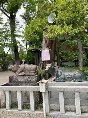 長岡天満宮の狛犬