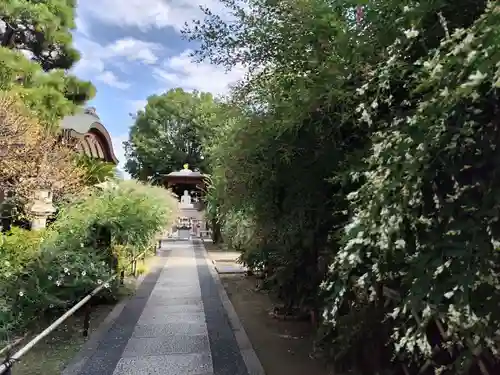 東光院(大阪府)