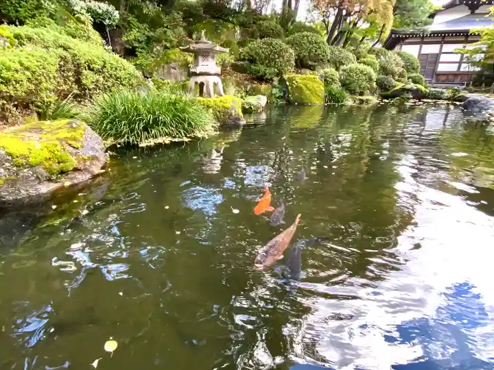 温泉寺(長野県)