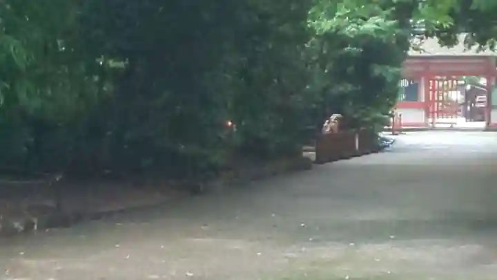 賀茂御祖神社(下鴨神社)のその他建物