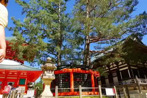 壇上伽藍の建物その他