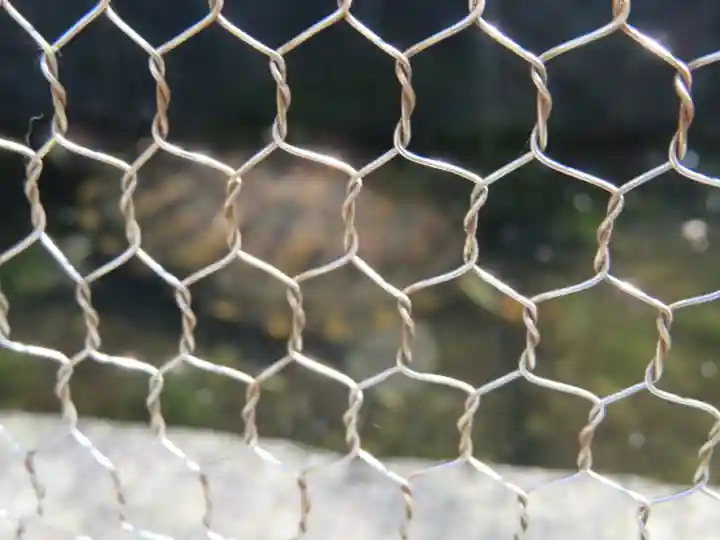 駒形神社の動物
