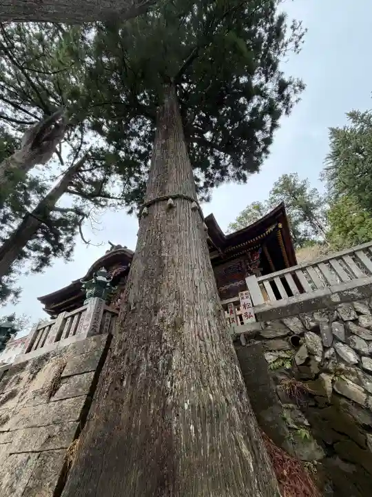 三峯神社の{uncategorized: "未分類", other: "その他", undefined: "問題あり", building: "その他建物", grave: "お墓", sacred_gate: "鳥居", guardian: "狛犬", statue: "像", buddha: "仏像", history: "歴史", nature: "自然", garden: "庭園", animal: "動物", pagoda: "塔", temizu: "手水舎", mountain_gate: "山門・神門", sanctuary: "本殿・本堂", subordinate: "末社・摂社", art: "芸術", scenery: "景色", jizo: "地蔵", ema: "絵馬", goshuin: "御朱印", omikuji: "おみくじ", items: "授与品その他", amulet: "お守り", goshuincho: "御朱印帳", eats: "食事", festival: "お祭り", votive_dance: "神楽", shichigosan: "七五三参", wedding: "結婚式", experience: "体験その他", initially: "初詣", around: "周辺", anti_infection: "感染症対策"}