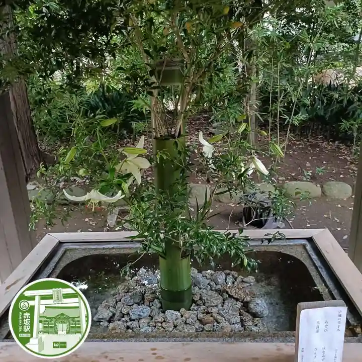 赤坂氷川神社(東京都)
