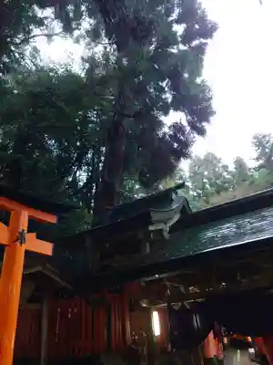 薬力社(京都府)