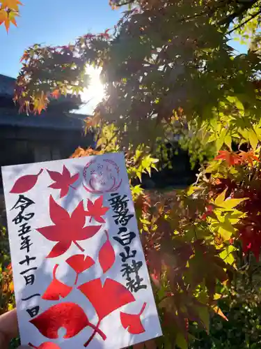 白山神社の御朱印