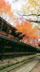 御霊神社（上御霊神社）の自然