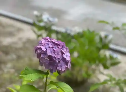 伊勢の国 四天王寺(三重県)