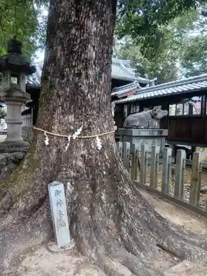 北野天神社(愛知県)