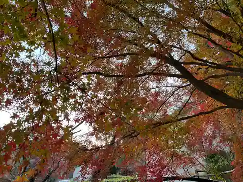 石清水八幡宮(京都府)