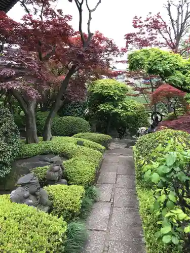 金剛寺の庭園