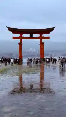 厳島神社の{uncategorized: "未分類", other: "その他", undefined: "問題あり", building: "その他建物", grave: "お墓", sacred_gate: "鳥居", guardian: "狛犬", statue: "像", buddha: "仏像", history: "歴史", nature: "自然", garden: "庭園", animal: "動物", pagoda: "塔", temizu: "手水舎", mountain_gate: "山門・神門", sanctuary: "本殿・本堂", subordinate: "末社・摂社", art: "芸術", scenery: "景色", jizo: "地蔵", ema: "絵馬", goshuin: "御朱印", omikuji: "おみくじ", items: "授与品その他", amulet: "お守り", goshuincho: "御朱印帳", eats: "食事", festival: "お祭り", votive_dance: "神楽", shichigosan: "七五三参", wedding: "結婚式", experience: "体験その他", initially: "初詣", around: "周辺", anti_infection: "感染症対策"}