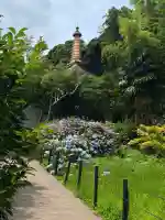 本土寺(千葉県)