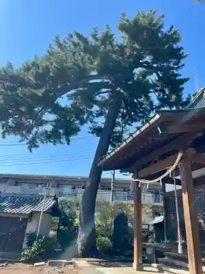 東伏見氷川神社の{uncategorized: "未分類", other: "その他", undefined: "問題あり", building: "その他建物", grave: "お墓", sacred_gate: "鳥居", guardian: "狛犬", statue: "像", buddha: "仏像", history: "歴史", nature: "自然", garden: "庭園", animal: "動物", pagoda: "塔", temizu: "手水舎", mountain_gate: "山門・神門", sanctuary: "本殿・本堂", subordinate: "末社・摂社", art: "芸術", scenery: "景色", jizo: "地蔵", ema: "絵馬", goshuin: "御朱印", omikuji: "おみくじ", items: "授与品その他", amulet: "お守り", goshuincho: "御朱印帳", eats: "食事", festival: "お祭り", votive_dance: "神楽", shichigosan: "七五三参", wedding: "結婚式", experience: "体験その他", initially: "初詣", around: "周辺", anti_infection: "感染症対策"}