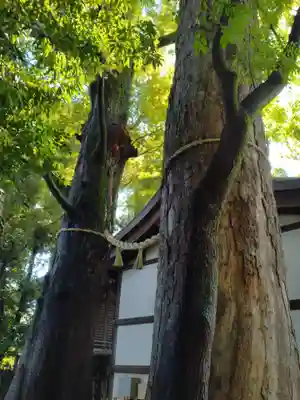 川越氷川神社のその他建物