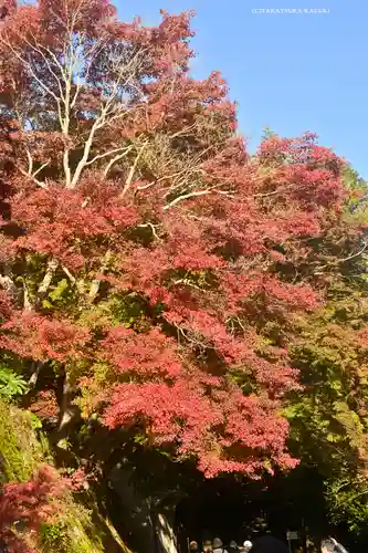 建長寺(神奈川県)
