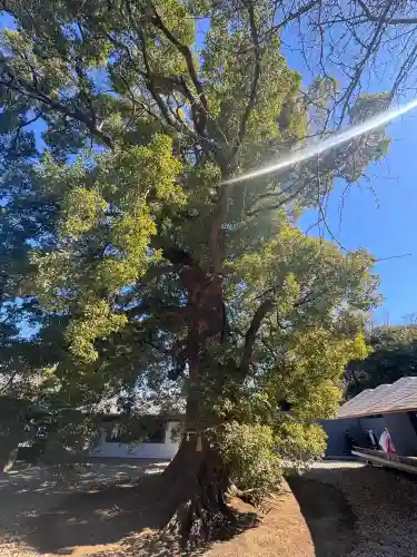 上野東照宮の{uncategorized: "未分類", other: "その他", undefined: "問題あり", building: "その他建物", grave: "お墓", sacred_gate: "鳥居", guardian: "狛犬", statue: "像", buddha: "仏像", history: "歴史", nature: "自然", garden: "庭園", animal: "動物", pagoda: "塔", temizu: "手水舎", mountain_gate: "山門・神門", sanctuary: "本殿・本堂", subordinate: "末社・摂社", art: "芸術", scenery: "景色", jizo: "地蔵", ema: "絵馬", goshuin: "御朱印", omikuji: "おみくじ", items: "授与品その他", amulet: "お守り", goshuincho: "御朱印帳", eats: "食事", festival: "お祭り", votive_dance: "神楽", shichigosan: "七五三参", wedding: "結婚式", experience: "体験その他", initially: "初詣", around: "周辺", anti_infection: "感染症対策"}