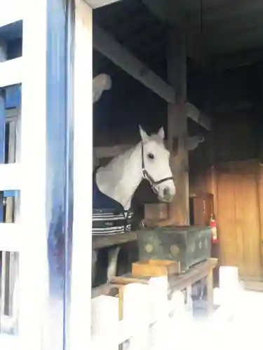 日光東照宮の動物