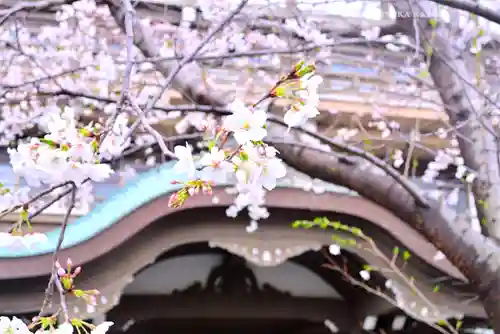 総持寺(神奈川県)