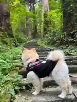 羽黒山五重塔(出羽三山神社)(山形県)