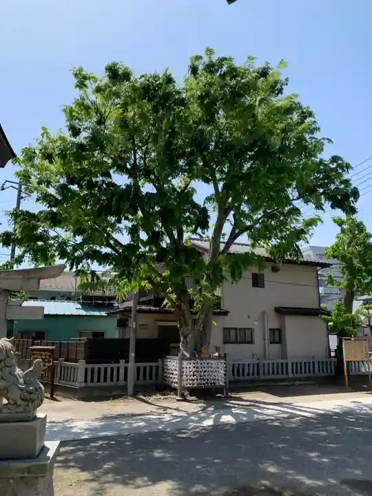 日枝神社(相之川)(千葉県)
