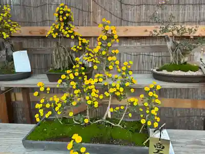 諏訪大社下社秋宮(長野県)